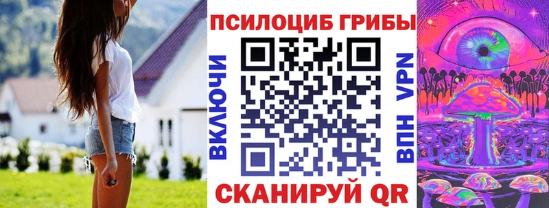 Галлюциногенные грибы Psilocybe  продажа наркотиков  Чусовой 